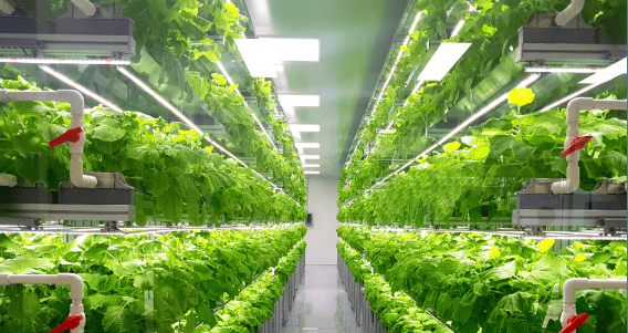 May 2023 issue: spiral water: helping the vertical farming industry reach new heights